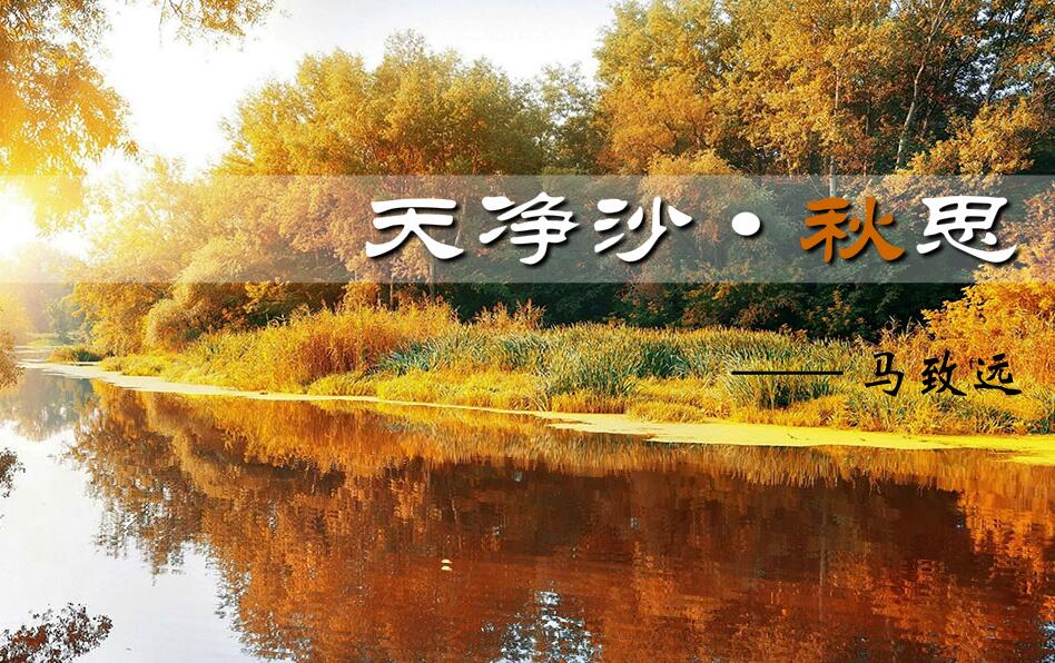 天净沙秋思—马致远——flash as3.0版教学课件