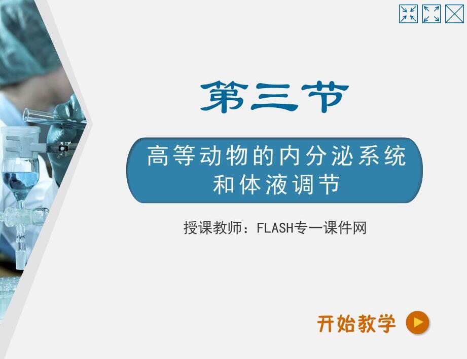 高等动物的内分泌系统和体液调节flash课件（16:9）
