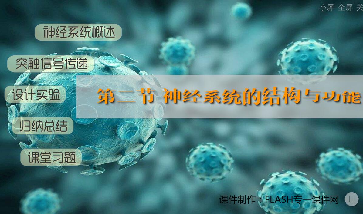 生物教学——神经系统的结构和功能flash课件（16:9）