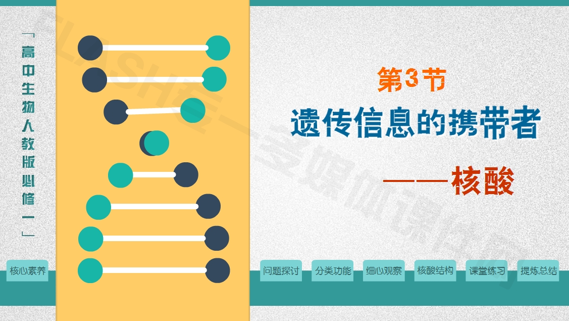 高中生物人教版必修一第三节《遗传信息的携带者一核酸》flash教学课件